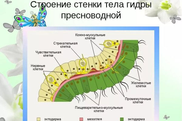 Кракен актуальная ссылка тор