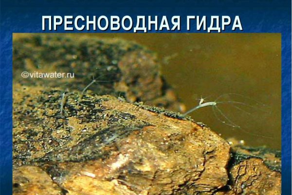 Кракен площадка нарко
