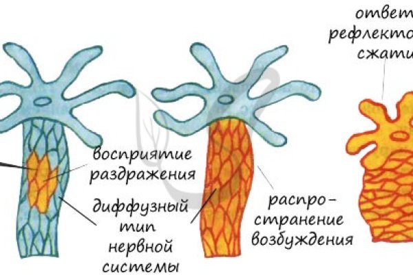 Ссылки сайтов даркнета