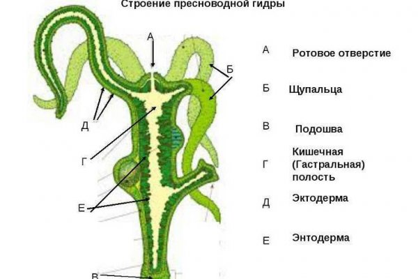 Кракен ссылка официальная