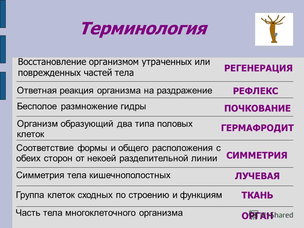 Кракен рабочее на сегодня сайт